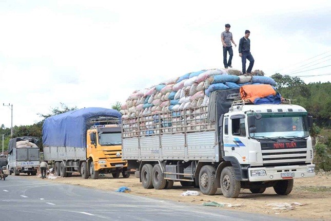 Bộ GTVT vẫn tiếp tục triển khai xử lý nghiêm các trường hợp xe vi phạm trọng tải vượt mức hơn 10% giấy đăng ký.  