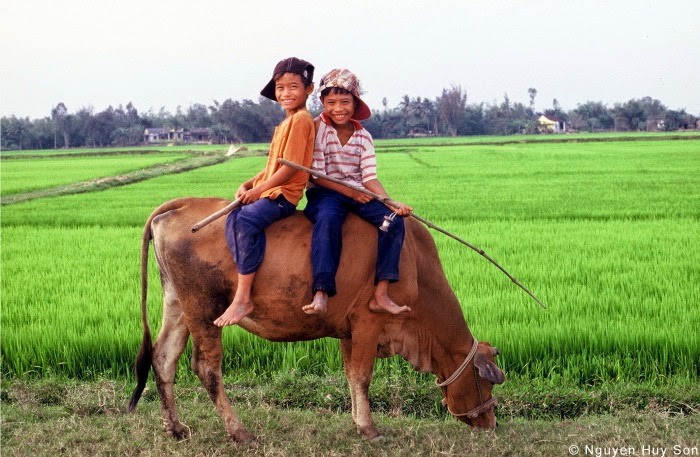 Tìm về ký ức tuổi thơ