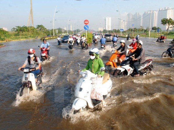 Chọn tư vấn giám sát Dự án giải quyết ngập do triều tại TPHCM phải đúng quy trình 