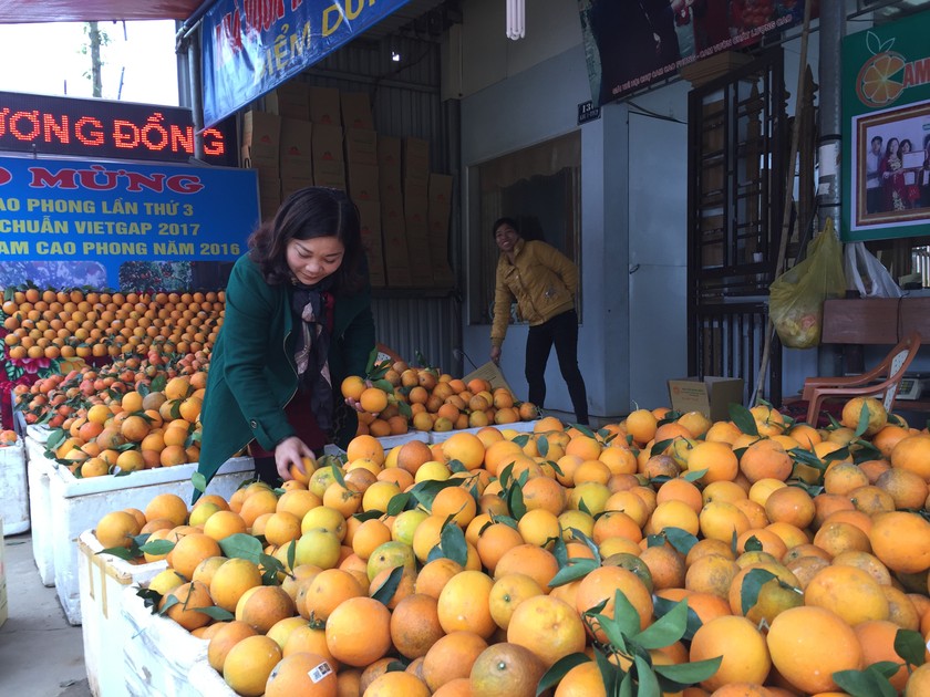 Cửa hàng cam Hương Đồng tại thị trấn Cao Phong