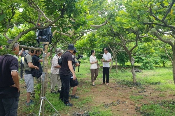 Đoàn làm phim quay bối cảnh của NSND Trọng Trinh và NSƯT Nguyệt Hằng tại một vườn na ở TX Đông Triều. (ảnh TTTT Quảng Ninh) 