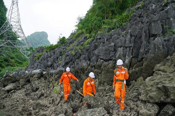 Công nhân Điện lực Quảng Ninh kiểm tra đường điện tại các xã đảo huyện Vân Đồn.