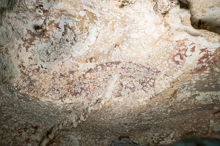 Một bức tranh được tạo ra cách đây ít nhất 51.200 năm trong hang động đá vôi Leang Karampuang ở vùng Maros-Pangkep trên đảo Sulawesi của Indonesia miêu tả ba nhân vật giống người đang tương tác với một con lợn rừng (Ảnh: Reuters)