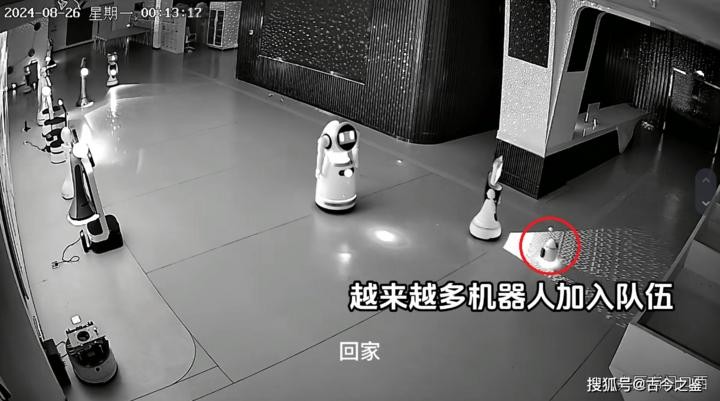 12 robot bị "bắt cóc" khỏi phòng trưng bày bởi một robot khác (Ảnh cắt từ video)