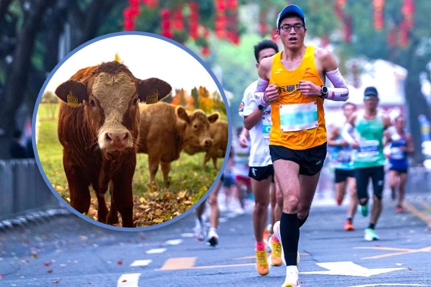 Giải chạy bán Marathon tại Trung Quốc với giải thưởng độc đáo (Ảnh: SCMP) 