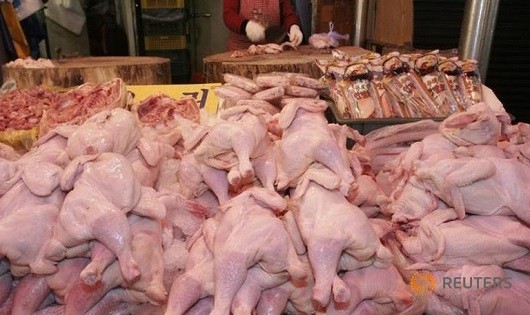 Hàn Quốc đang lên kế hoạch tiếp tục tiêu hủy thêm gà, vịt. 