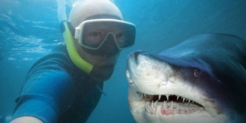 Chụp ảnh “tự sướng” làm chết người nhiều hơn cá mập tấn công