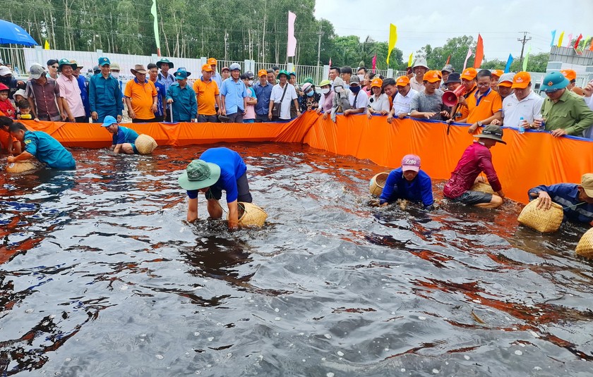 Sự kiện “Hương Rừng U Minh” thu hút hàng nghìn lượt khách trong và ngoài tỉnh tham quan gồm các hoạt động như: Đi bộ xuyên rừng; chạy xe đạp thể thao xuyên rừng; thi cá lóc to nhất,… cùng các hoạt động thể thao và trò chơi dân gian tại Vườn Quốc gia U Minh hạ.