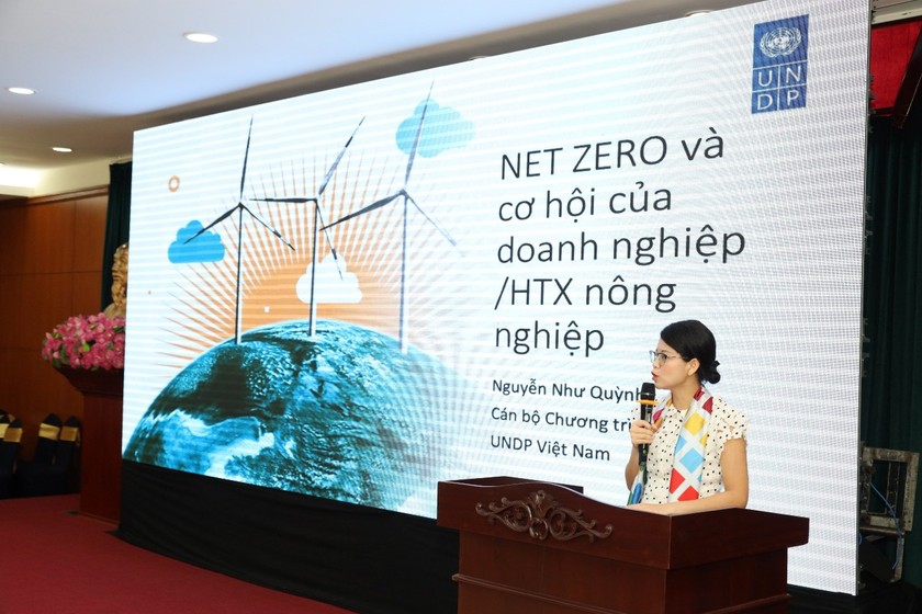 Bà Nguyễn Như Quỳnh, cán bộ Chương trình Phát triển Liên hợp quốc (UNDP) tại Việt Nam chia sẻ thông tin tại Hội thảo