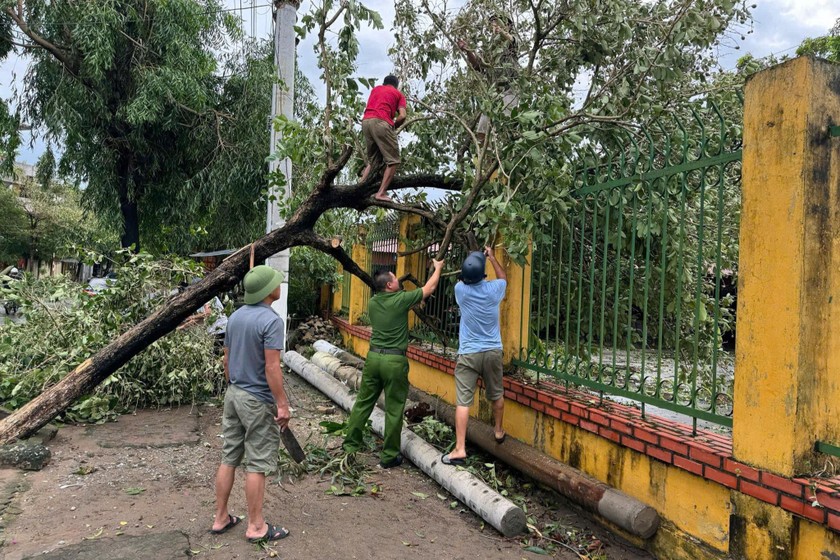 Các địa phương trong tỉnh Thái Bình đã huy động hàng nghìn người tập trung khắc phục, dọn dẹp cây đổ, bảo đảm an toàn giao thông.