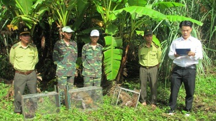 Các cá thể động vật hoang dã quý hiếm được thả về môi trường tự nhiên sau khi đã được cứu hộ, kiểm dịch. Ảnh: VQG Phong Nha - Kẻ Bàng.