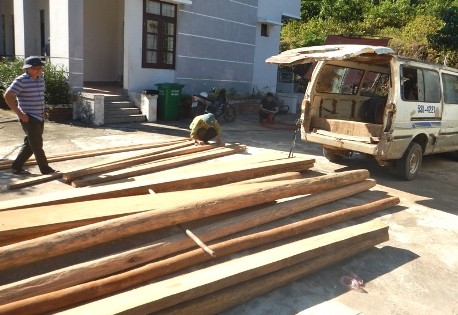 Toàn bộ 29 phách gỗ táu và xe khách chở gỗ lậu bị kiểm lâm thu giữ