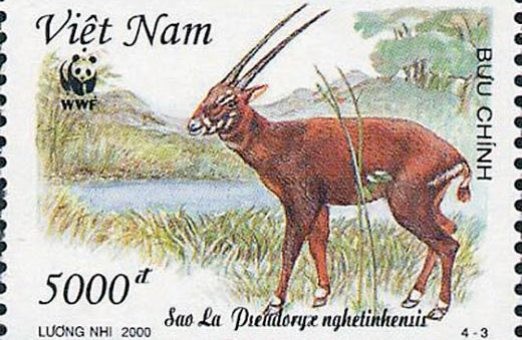 Tem bưu chính giới thiệu về loài Sao la của Việt Nam.
