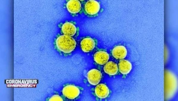 Lo ngại virus corona có thể lây qua đường tình dục. Ảnh: whdh.com