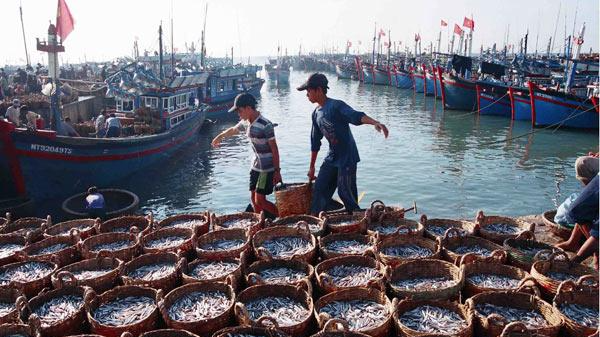 Việt Nam có nhiều nỗ lực trong triển khai các giải pháp chống khai thác IUU. Ảnh minh họa: fistenet.gov.vn