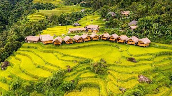 Di sản ruộng bậc thang ở Hoàng Su Phì.