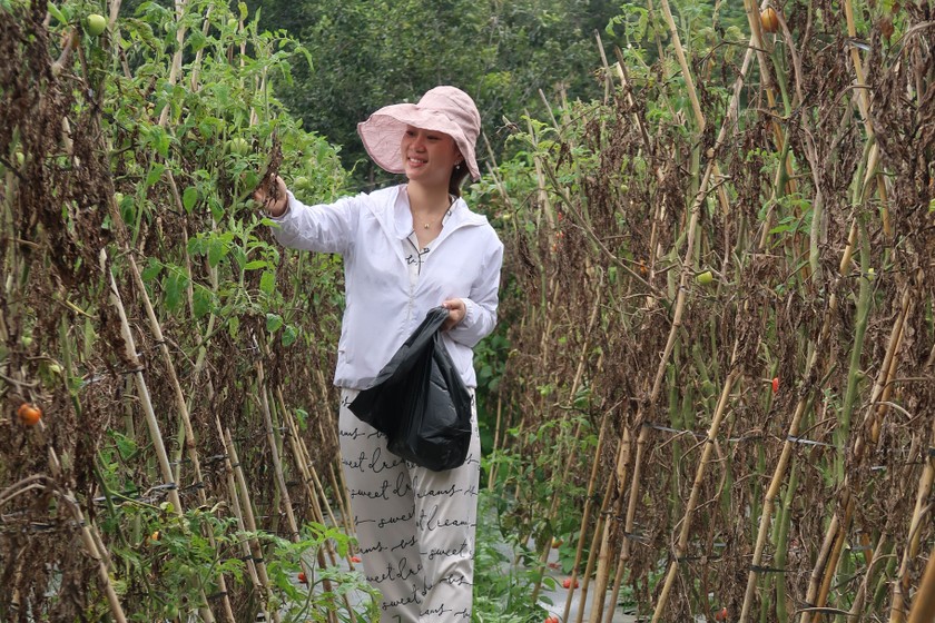 Nhiều bạn trẻ chọn đến sống ở các nông trại, gần gũi với thiên nhiên, chữa lành cho tâm hồn. (Ảnh: Ngọc Mai)