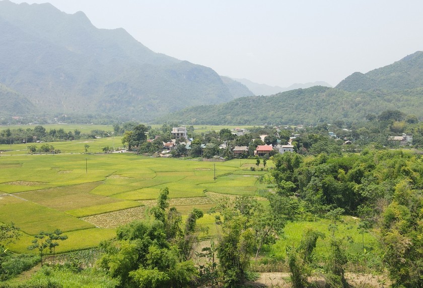 Chương trình mục tiêu quốc gia phát triển kinh tế - xã hội vùng đồng bào dân tộc thiểu số và miền núi trên địa bàn tỉnh Hòa Bình đã đạt được những kết quả tích cực. (Ảnh: PV)