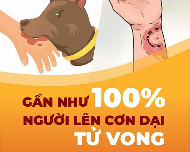 Số nạn nhân bị chó cắn phải tiêm vaccine phòng dại cao gấp 3 lần năm 2022