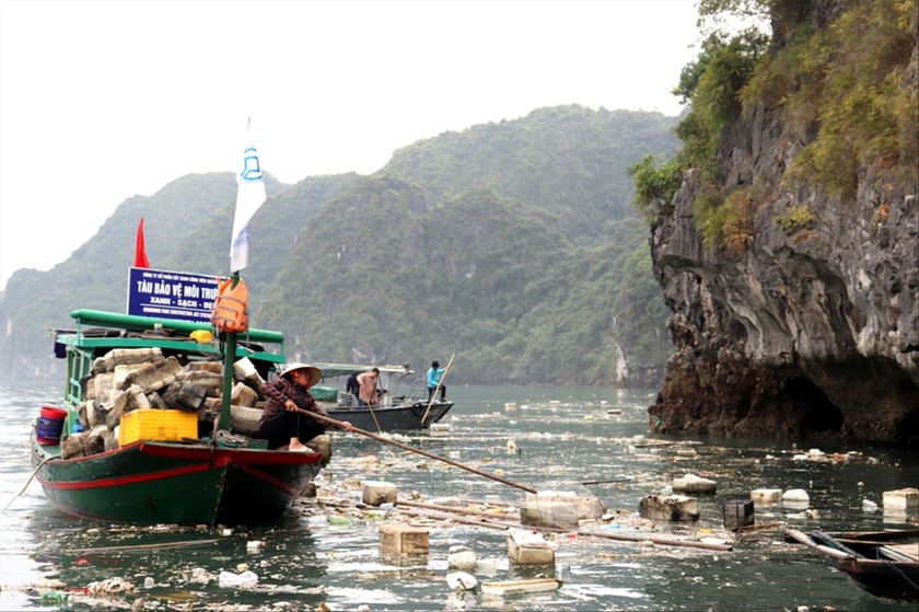 Hình ảnh vịnh Hạ Long ngập rác. (Ảnh: Tiền Phong)