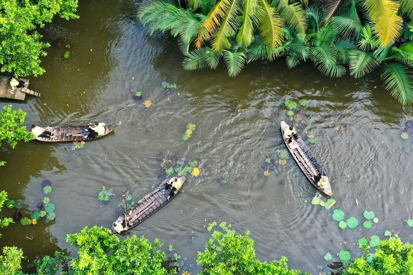 Cố Giang Nguyệt Ảnh