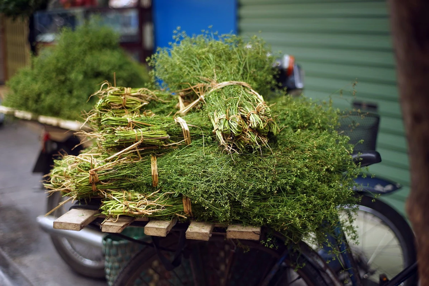 Những bó mùi già ngày giáp Tết. (Nguồn ảnh: suckhoedoisong.vn)