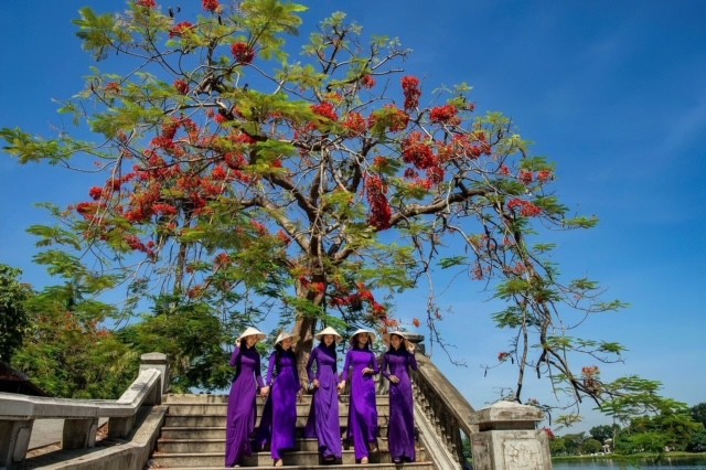 Da diết màu tím Huế