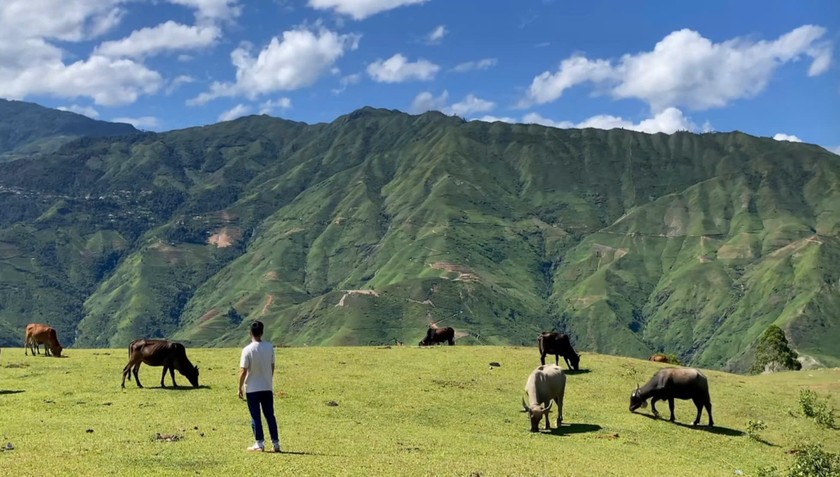 Thảo nguyên Tà Xùa với khung cảnh bình yên. (Ảnh: MXH)