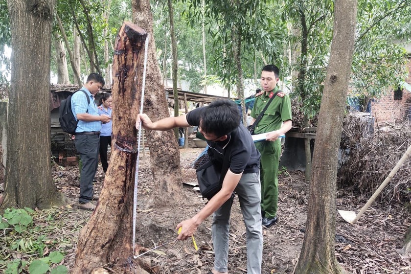 Tang vật tại hiện trường. (Ảnh: Tiến Dũng)