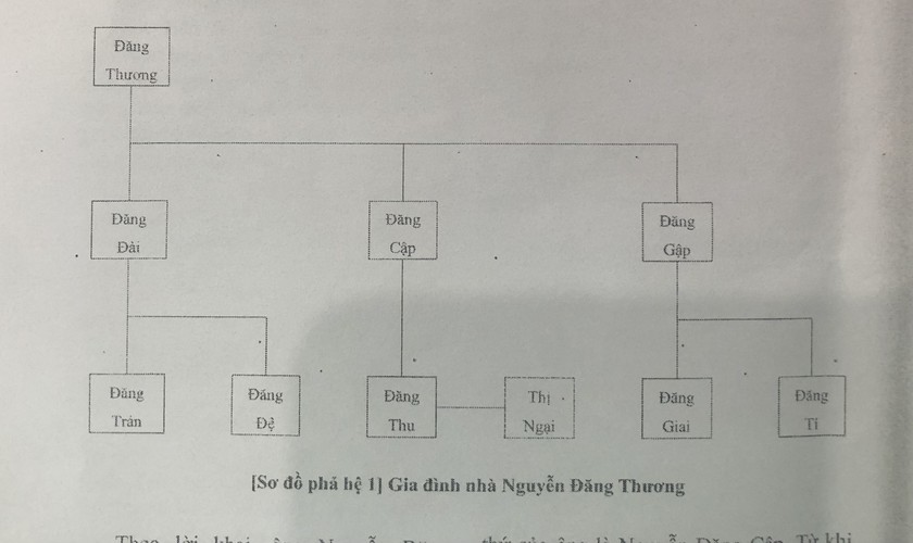 Sơ đồ phả hệ 1 - gia đình nhà Nguyễn Đăng Thương.