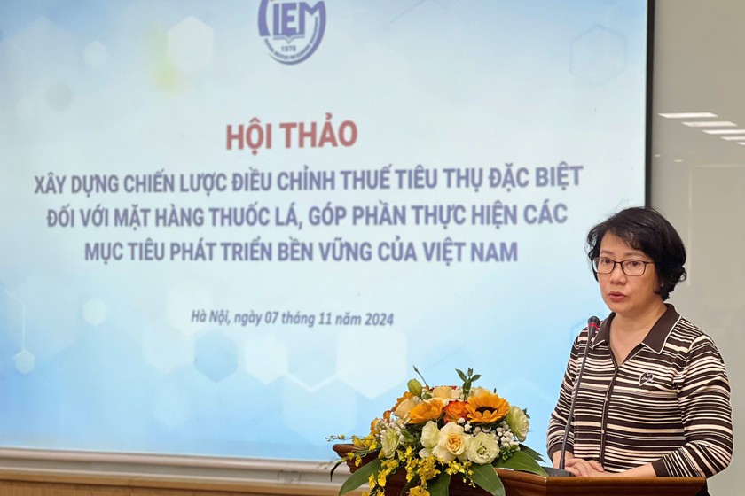 Bà Phan Thị Hải- Phó Giám đốc phụ trách Quỹ Phòng chống tác hại của thuốc lá phát biểu tại hội thảo (Ảnh: BTC)