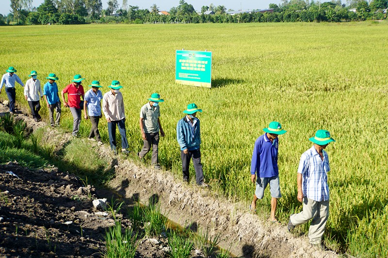 Nông dân tham gia một lớp tập huấn. 