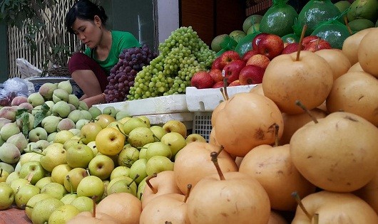 Phân biệt lê Trung Quốc và lê Việt Nam