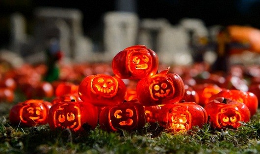 Độc đáo những trái bí ngô nhỏ nhất thế giới đón lễ Halloween