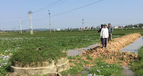lViệc dồn điền đổi thửa đang gây bức xúc cho người dân thôn Tăng Quang, rất cần chính quyền vào cuộc tích cực.