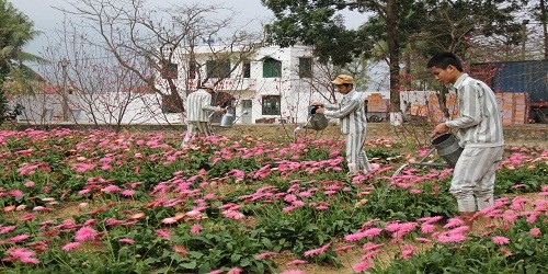 Những người đón mùa xuân sau song sắt