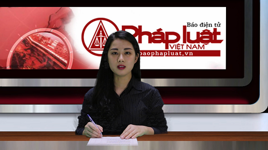 Bản tin online: Lãnh đạo Bộ Tư pháp 'giải tỏa' nhiều vấn đề 'nóng'