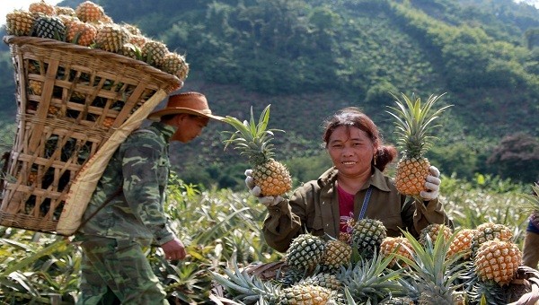 Niềm vui của đồng bào DTTS ở huyện nghèo Si Ma Cai nói riêng, tỉnh Lào Cai nói chung khi được Đảng, Nhà nước quan tâm cho vay vốn, tạo sinh kế bền vững.