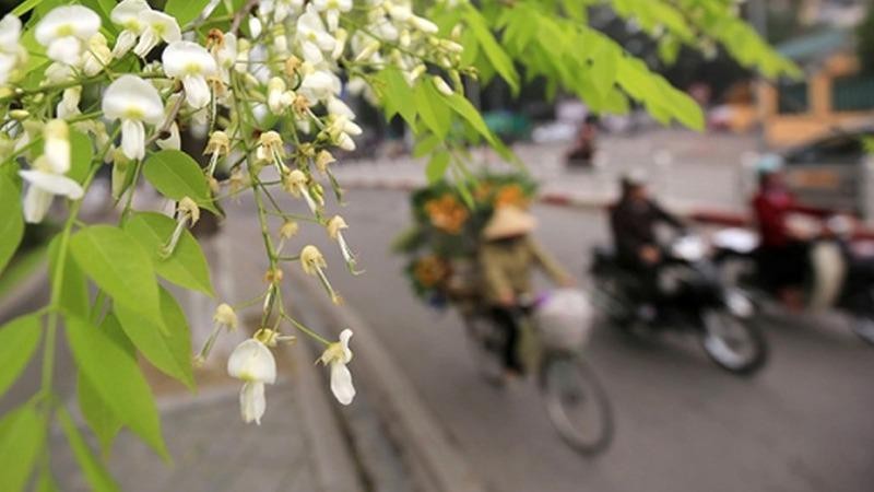 Hôm nay, Hà Nội trời nắng, gió nhẹ.