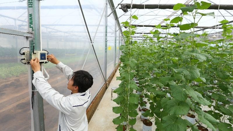 Mô hình nông nghiệp thông minh ứng dụng giải pháp ONE Farm của VNPT Technology.