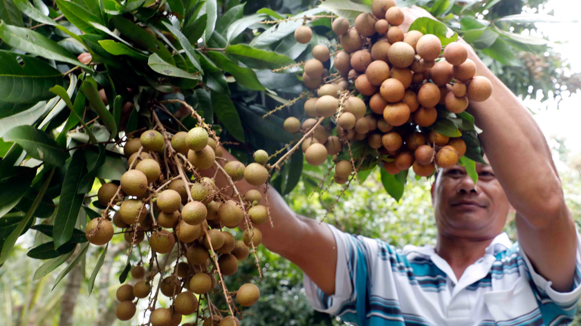 Nếu năm 1993 tỷ lệ hộ nghèo cả nước là 58,1%, đến năm 2020 chỉ còn 2,75% (Ảnh minh họa: Trần Việt).