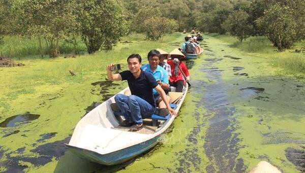 'Đóng băng' các tour kích cầu du lịch vì dịch COVID-19