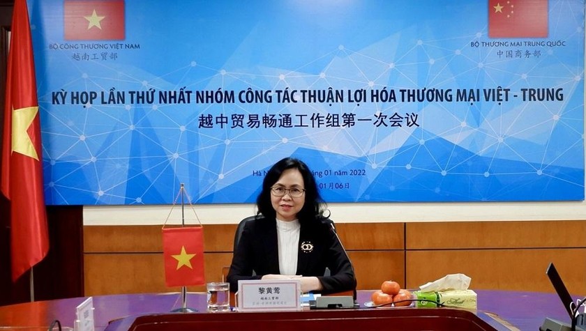 Chủ trì cuộc họp bên phía Việt Nam 