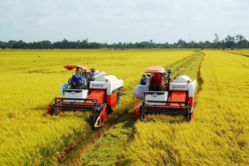 Có nhiều ưu đãi với nguồn vốn thực hiện đề án một triệu héc-ta lúa phát thải thấp