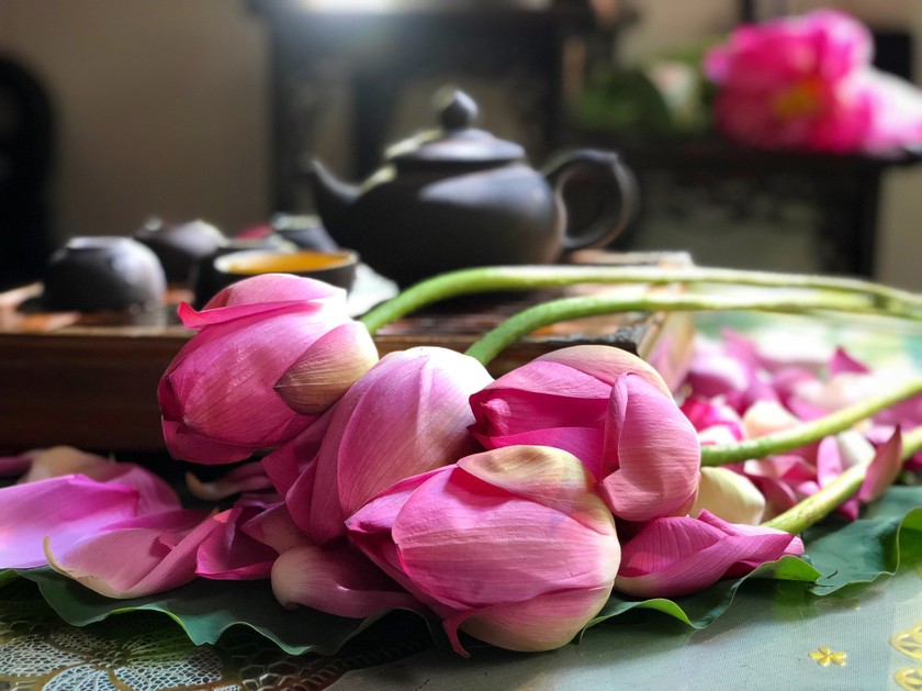 Việc công nhận nghề ướp trà sen Quảng An là di sản văn hóa phi vật thể quốc gia là sự ton vinh và lời nhắc nhớ chúng ta về việc bảo tồn và phát triển những giá trị văn hóa đặc sắc của dân tộc. (ảnh do gia đình bà Dần - nghệ nhân ướp chè Sen Tây Hồ cung cấp)
