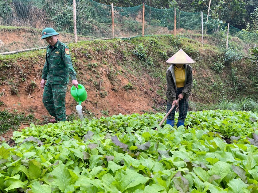 Bộ đội bi&ecirc;n ph&ograve;ng hỗ trợ b&agrave; con chăm s&oacute;c vườn tược - một h&igrave;nh ảnh đẹp đẽ của &ldquo;t&igrave;nh qu&acirc;n d&acirc;n &rdquo;