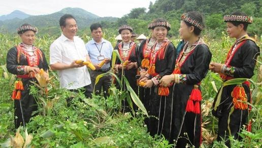 Ảnh minh họa.