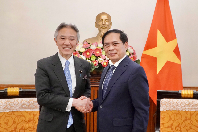 Nhật Bản mong muốn tiếp tục hỗ trợ Việt Nam bảo tồn các di sản