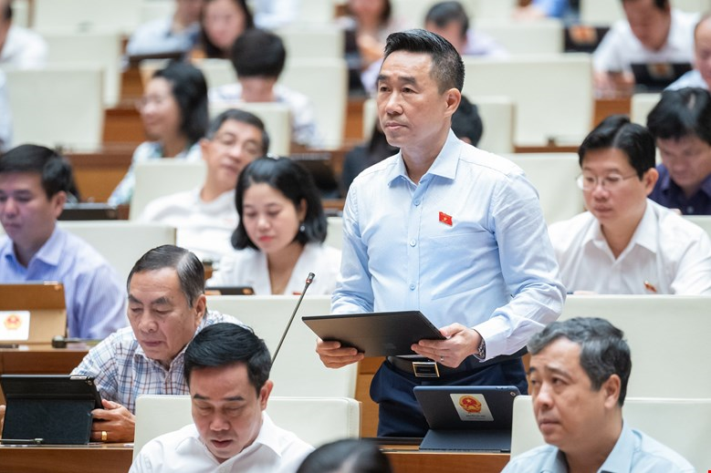 Đại biểu Nguyễn Hải Anh phát biểu tại phiên họp. 