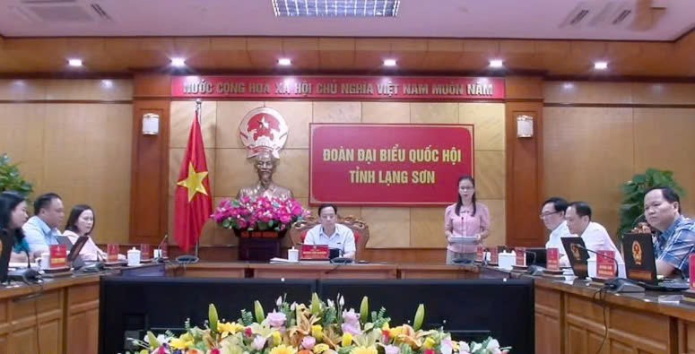 Đại biểu Chu Thị Hồng Thái chất vấn tại phiên họp.